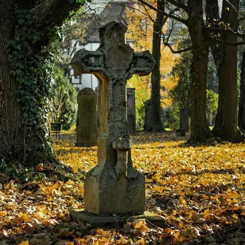 Rakowicki Cemetery in Cracow
